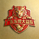 广东东莞大益队标志 - 华南虎图案